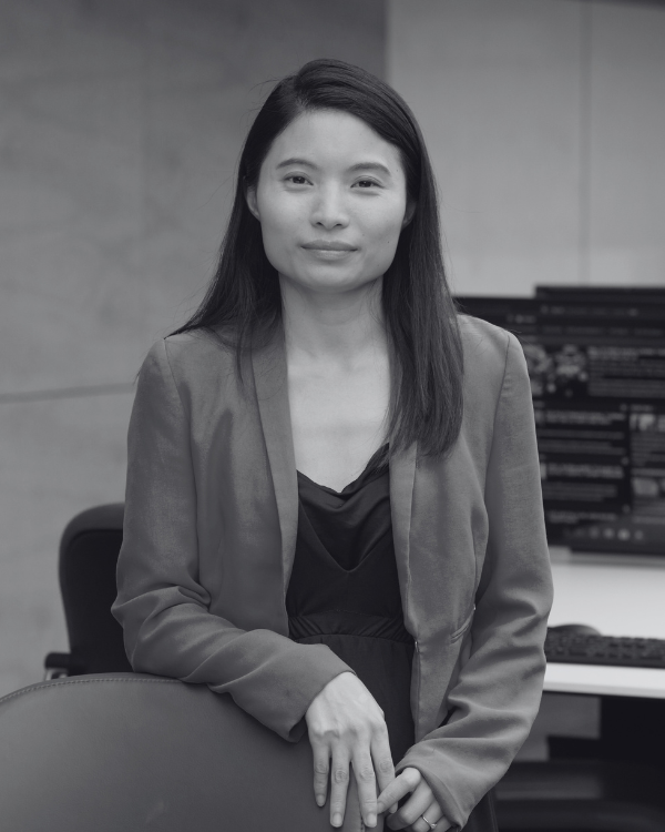 Prof. Shuping Shi